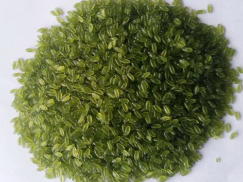 玉米雜糧設(shè)備,黃金米設(shè)備,玉米雜糧面條設(shè)備,雜糧速融粥設(shè)備,雜糧方便面設(shè)備,長(zhǎng)春市盛達(dá)食品工業(yè)研究所機(jī)械廠